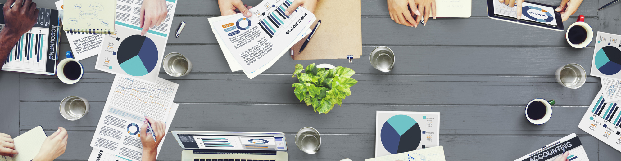 ASPM Solutions Ltd: Project Mangement